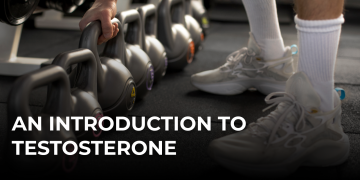 An Introduction to Testosterone