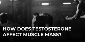What Is the Impact of Testosterone on Muscle Mass?