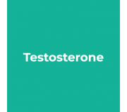 Testosterone