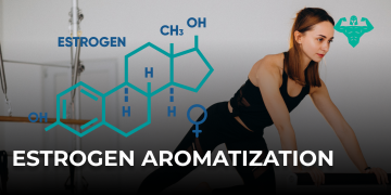 Estrogen Aromatization