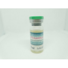 SP Enanthate Frote 500 10 ml 500 mg SP Labs
